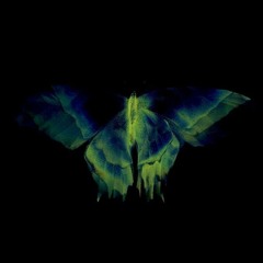 Long . Live . Darkkkslime p.zuuski