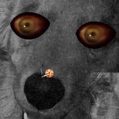 WHEN I BREAK (prod.CapsCtrl)