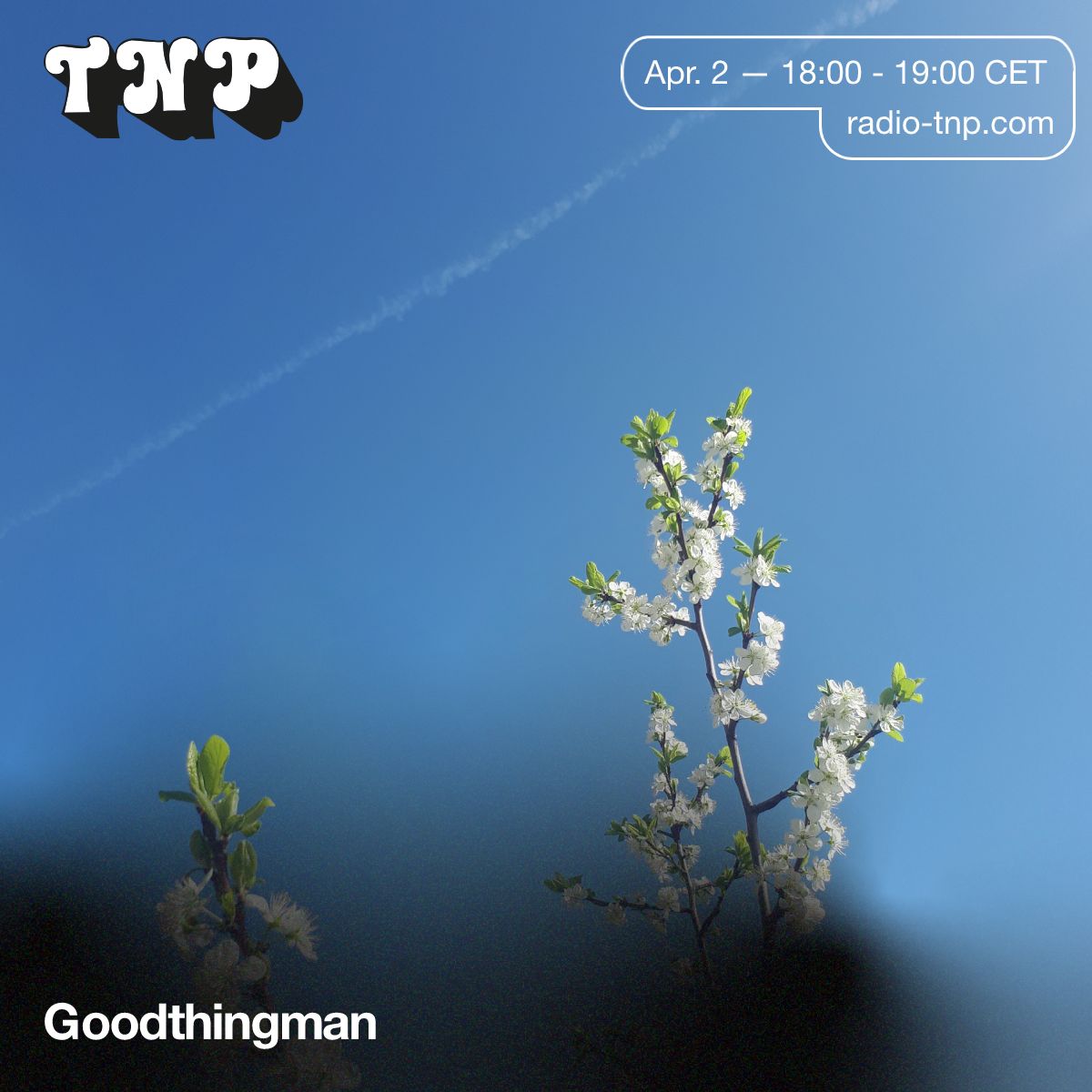 Goodthingman