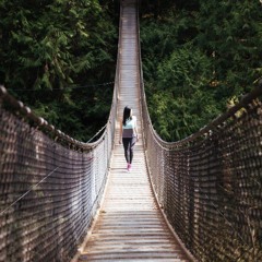 Bridge Too Far