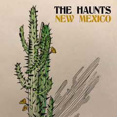 The Haunts - New Mexico (SINGLE VERSION)