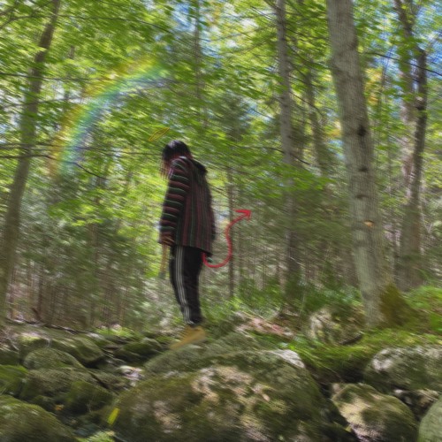 feral n high <3 prod.kittykat