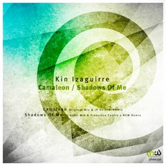 PHW | ELEMENTS - Kin Izaguirre Camaleon / Shadows Of Me EP