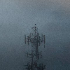 "i would never want to live again"