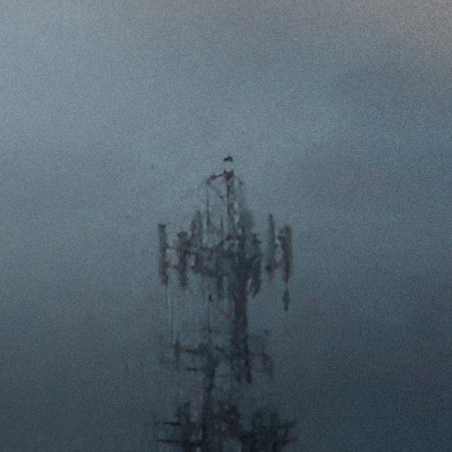 "i would never want to live again"