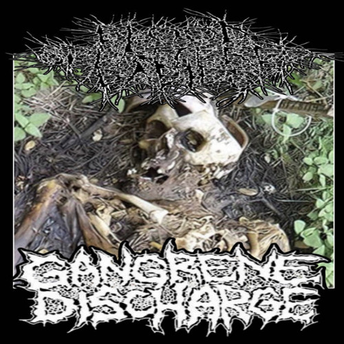 Gaseous Distention