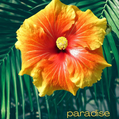 paradise (mix)
