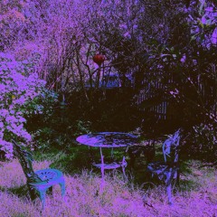 SLEEPY TEA
