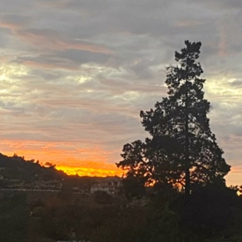 To Canopus Full Ep (2021)