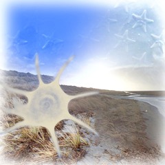 aries sun₊ libra moon₊ virgo rising  *b:3tter irl 🗝 07-09-24 at murmur