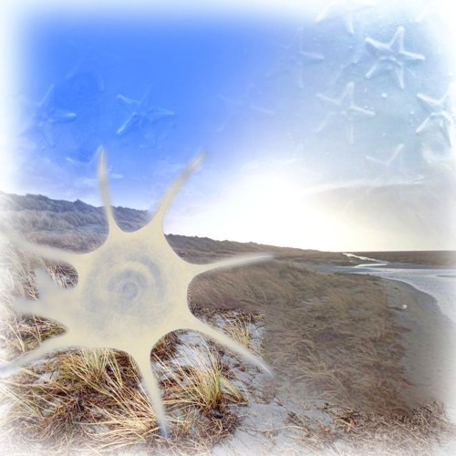 aries sun₊ libra moon₊ virgo rising  *b:3tter irl 🗝 07-09-24 at murmur