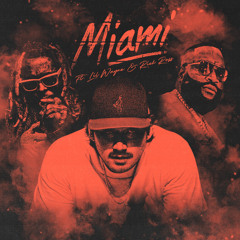 Miami (DJ Scooter Bass Remix) Lil Wayne RMX Dirty