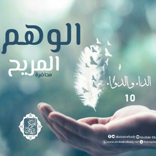 الوهم المريح|10- شرح الداء والدواء لابن القيم|د. أبوبكر القاضي