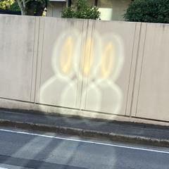 Oak9