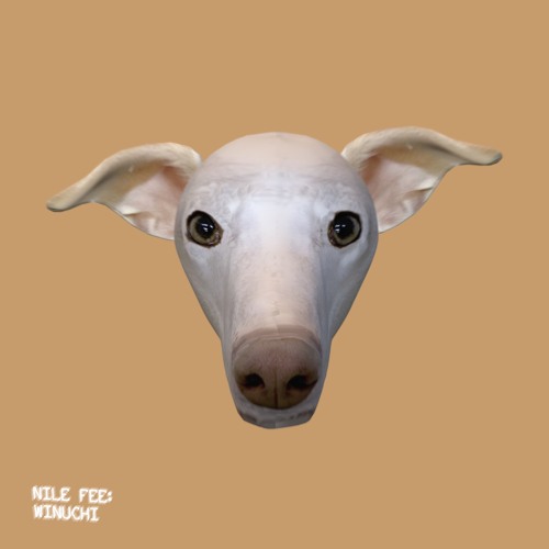 Nile Fee - Buscando A Mi Perro