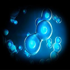 - STEM CELLS - Healing Frequencies (Improved Natural Healing Processes / Stem Cells Production)