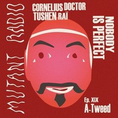 Nobody Is Perfect #19 - Cornelius Doctor invites A-Tweed (live set) [16.08.2022]