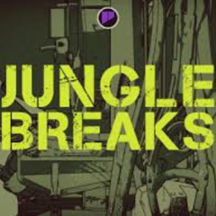 BREAKS2JUNGLE