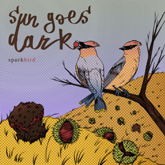 Sun Goes Dark