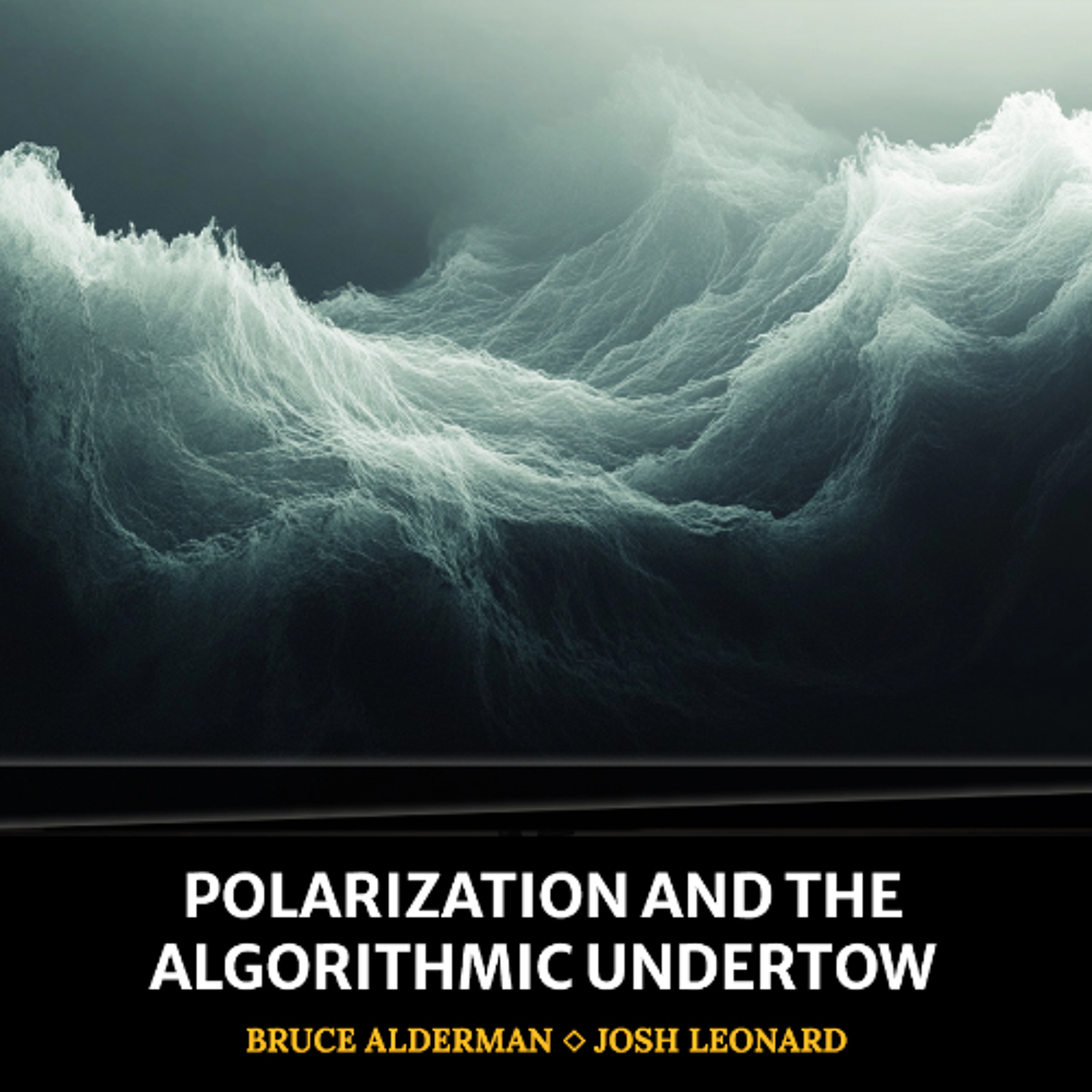 cover of episode Polarization and the Algorithmic Undertow
