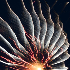 Exceptional Beats 36