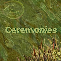 pondcast 004 ~ ꪻꫝ᥅ꪮꪊᧁꫝ ꪻꫝꫀ ᥅ꫀꫀᦔᦓ w/ Ceremonies 𓆏 ⋆.˚⟡ ݁