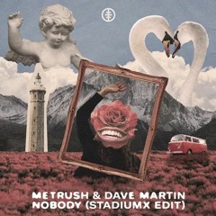 Metrush & Dave Martin - Nobody (Stadiumx Radio Edit)