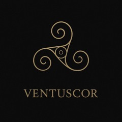 VENTUSCOR_963hz.wav