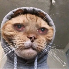 ឧបសគ្គស្នេហ៍ - Hak Record , VONG PROD.mp3