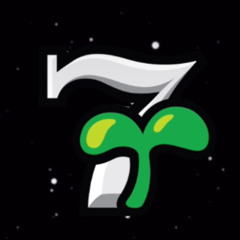 7🌱 BEST PICKS 🚨