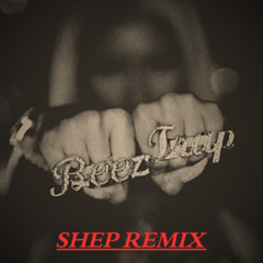Beez In The Trap - Shep Remix