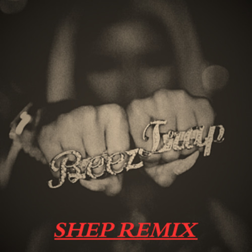 Beez In The Trap - Shep Remix