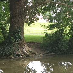 Confluence