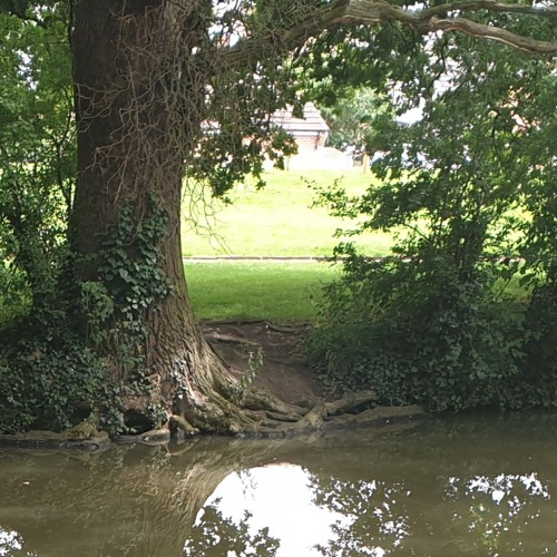 Confluence