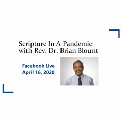 Scripture In A Pandemic with Brian Blount