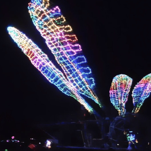 Burning Man 2022 BV Aboard The DragonFly Art Car