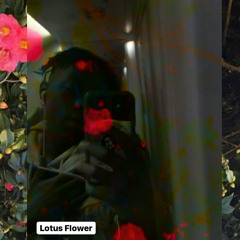 Lotus flower(demo)