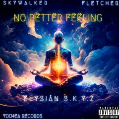 No Better Feeling (Feat. FLETCHER)