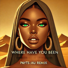 Rihanna - Where Have You Been (PAYTS (AU) Remix)