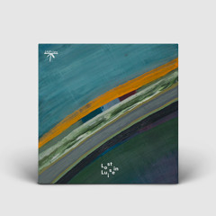 nacite - Forest Light (LIL016)