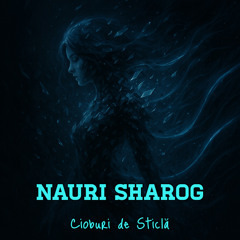 Cioburi de Sticlă <romanian>