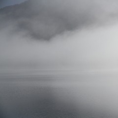 In The Gray Haze