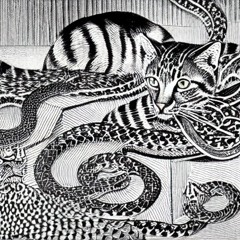 Kupalinka (Šuma Remix)