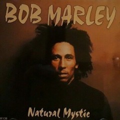 Bob Marley - Natural Mystic (Chuggz)
