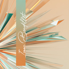 Libellule