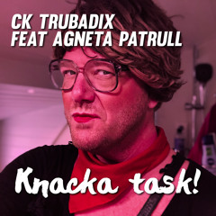 Knacka task! (feat. Agneta Patrull)
