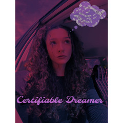 Certifiable Dreamer