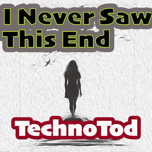 I Never Saw This End (Original Mix) TechnoTod [2022 - 06 - 04 003829]