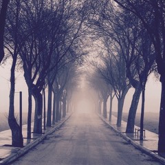 Streets