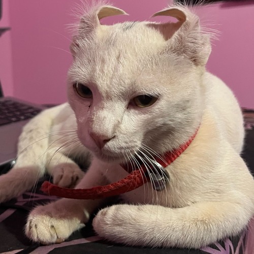 ObScUrEd DeMoNs:   hAiL sAfI (unmastered)